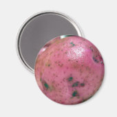Rode Noordse aardappel Magneet (Voorkant / Achterkant)