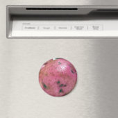 Rode Noordse aardappel Magneet (Insitu (Vaatwasser))