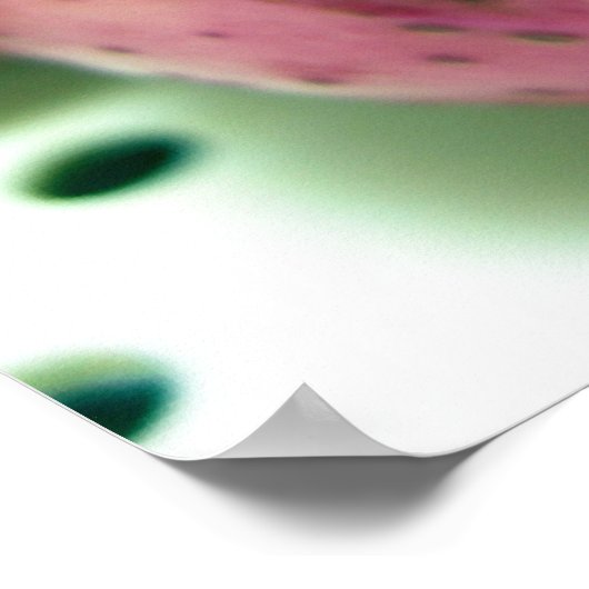 Rode Noordse aardappel Poster (Hoek)