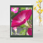 Rode Ochtendglorie Blanko Kaart (Gele Bloem)