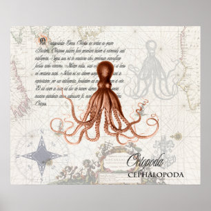  rode octopus illustratie Nautical Map Poster