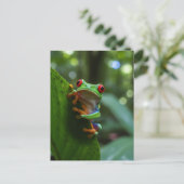 Rode ogen boomkikker in het Monteverde Cloud Fores Briefkaart (Staand voorkant)