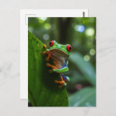 Rode ogen boomkikker in het Monteverde Cloud Fores Briefkaart (Voorkant / Achterkant)