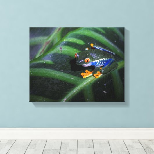 Rode ogen kikker op leder canvas afdruk (Insitu (Houten vloer))