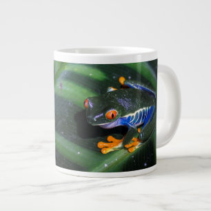 Rode ogen kikker op leder grote koffiekop