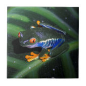 Rode ogen kikker op leder tegeltje (Voorkant)