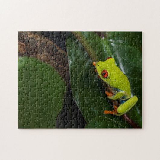 Rode ogen kikker op stoom legpuzzel (Horizontaal)