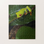 Rode ogen kikker op stoom legpuzzel (Verticaal)