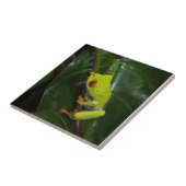 Rode ogen kikker op stoom tegeltje (Zijkant)