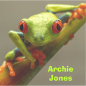 Rode-ogige kikker kijken naar je foto gepersonalis sticker (Voorkant)