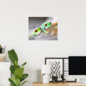 Rode Oog Boomkikker in de mist, Agalychinis 2 Poster (Thuiskantoor)