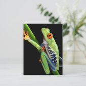 rode oogboomkikker briefkaart (Staand voorkant)