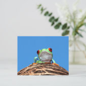 rode oogboomkikker briefkaart (Staand voorkant)
