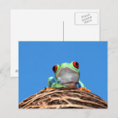 rode oogboomkikker briefkaart (Voorkant / Achterkant)
