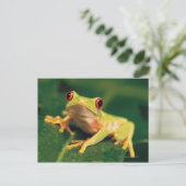 Rode oogboomkikker briefkaart (Staand voorkant)