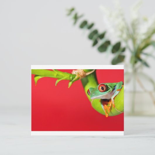 rode oogboomkikker briefkaart (Staand voorkant)