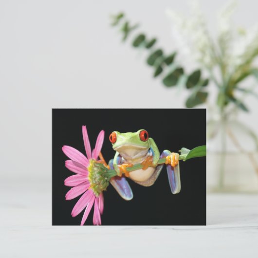 rode oogboomkikker briefkaart (Staand voorkant)