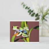 rode oogboomkikker briefkaart (Staand voorkant)