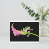 rode oogboomkikker briefkaart (Staand voorkant)