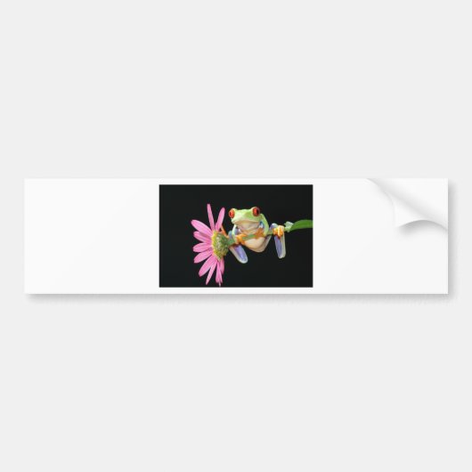 rode oogboomkikker bumpersticker (Voorkant)