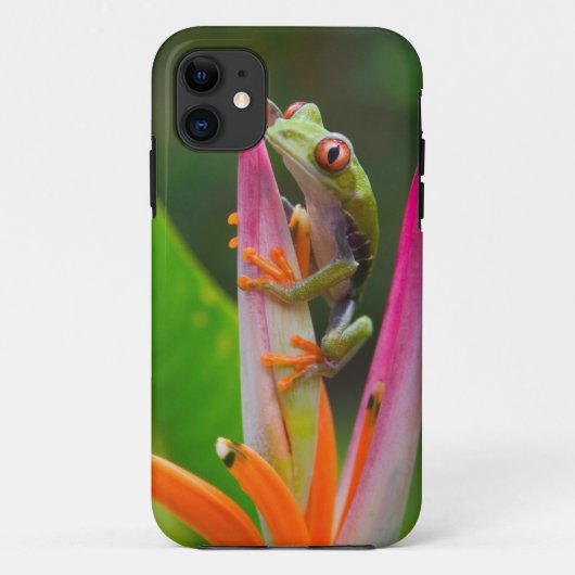 Rode-oogboomkikker, Costa Rica Case-Mate iPhone Case (Achterkant)
