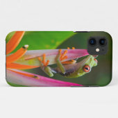 Rode-oogboomkikker, Costa Rica Case-Mate iPhone Case (Achterkant (horizontaal))