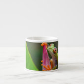 Rode-oogboomkikker, Costa Rica Espresso Kop (Voorkant)