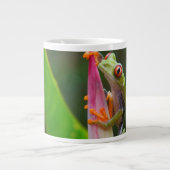 Rode-oogboomkikker, Costa Rica Grote Koffiekop (Voorkant)