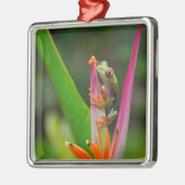 Rode-oogboomkikker, Costa Rica Metalen Ornament (Links)