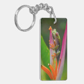 Rode-oogboomkikker, Costa Rica Sleutelhanger (Voorkant Links)