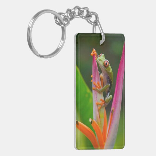 Rode-oogboomkikker, Costa Rica Sleutelhanger (Voorkant Links)