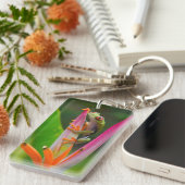 Rode-oogboomkikker, Costa Rica Sleutelhanger (Voorkant Rechts)