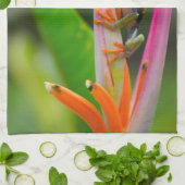 Rode-oogboomkikker, Costa Rica Theedoek (Gevouwen)