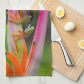 Rode-oogboomkikker, Costa Rica Theedoek (Quarter Fold)