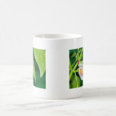 rode oogboomkikker koffiemok (Center)