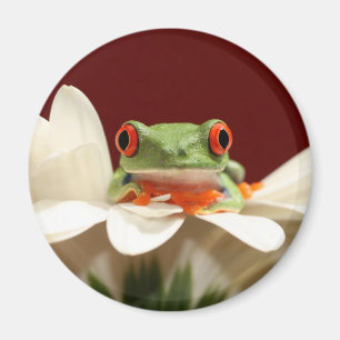 rode oogboomkikker magneet