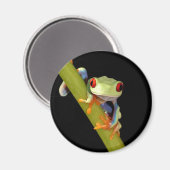 rode oogboomkikker magneet (Voorkant / Achterkant)