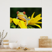 rode oogboomkikker poster (Keuken)