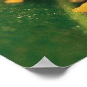 Rode oogboomkikker poster (Hoek)