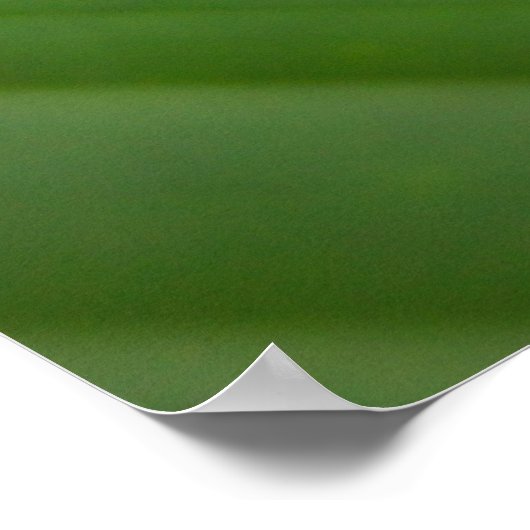 Rode oogboomkikker poster (Hoek)