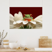 rode oogboomkikker poster (Keuken)