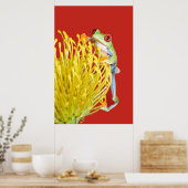 rode oogboomkikker poster (Keuken)