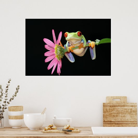 rode oogboomkikker poster (Keuken)