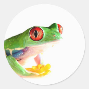 rode oogboomkikker ronde sticker
