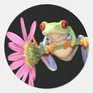 rode oogboomkikker ronde sticker
