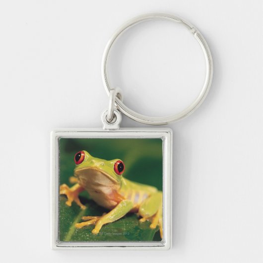 Rode oogboomkikker sleutelhanger (Voorkant)
