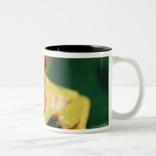 Rode oogboomkikker tweekleurige koffiemok
