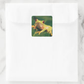 Rode oogboomkikker vierkante sticker (Tas)