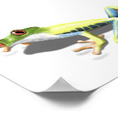 Rode oogkikker poster (Hoek)