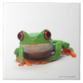 Rode oogolkikker 2 tegeltje (Voorkant)